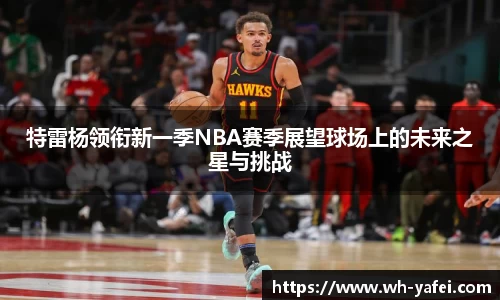 特雷杨领衔新一季NBA赛季展望球场上的未来之星与挑战
